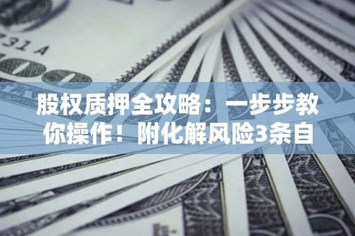 济南股权质押全攻略：一步步教你操作！附化解风险3条自救法则