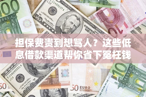 济南担保费贵到想骂人？这些低息借款渠道帮你省下冤枉钱